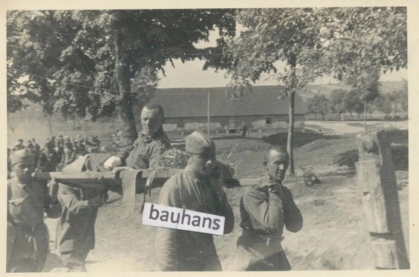 ranyaxa.jpg