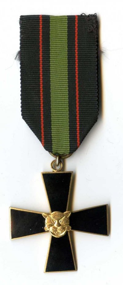 аанисен 11.jpg