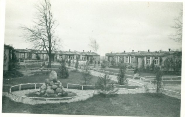 сканирование0002.jpg