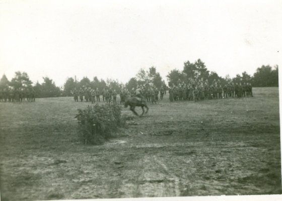 сканирование0004.jpg
