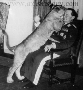 goring-lion.jpg