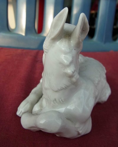RIMG0008-40.JPG