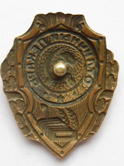 1654169066_2.jpg