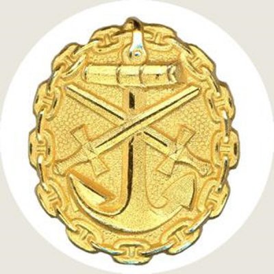 Verwundetenabzeichen-Marine-Gold-12 [800x600].jpg
