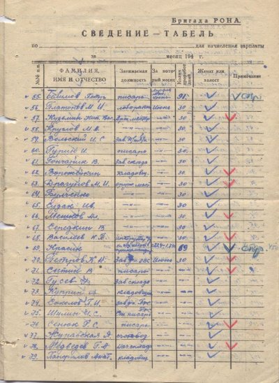 РОНА 3.jpg