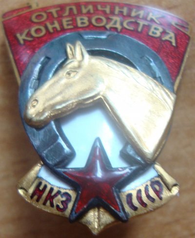 конь4.JPG