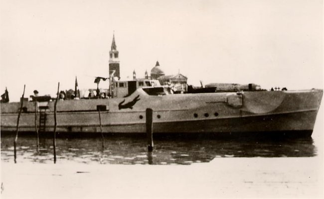 3-krokodil-33.jpg