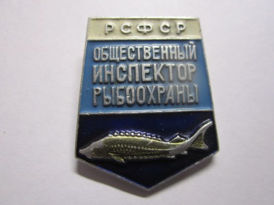 IMG_5023.JPG