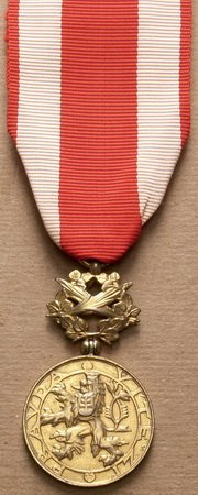 25 БЛ Медаль3.1.jpg